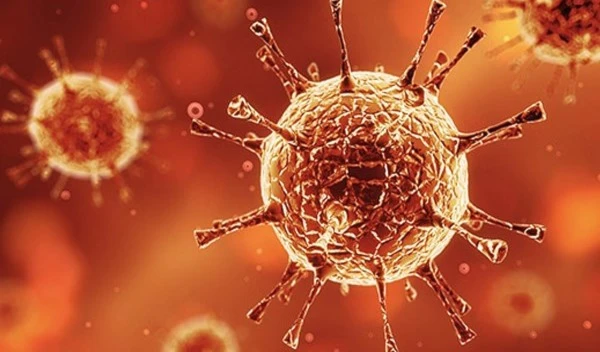 Imagen ilustrativa. (Tomada de Internet)