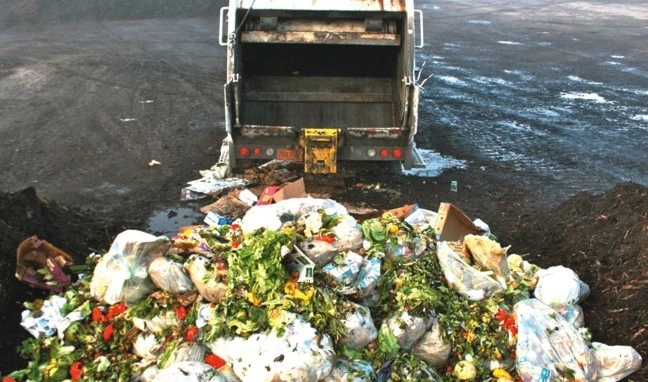 Comida desperdiciada.