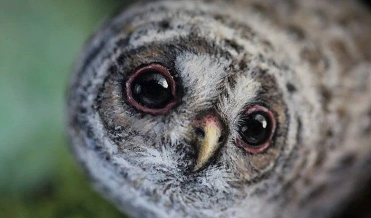 La artista se inspira en las formas naturales de los animales. Foto: akie_2525/ Instagram. La artista se inspira en las formas naturales de los animales. Foto: akie_2525/ Instagram.