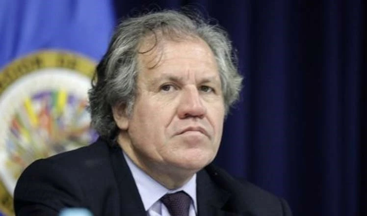 El secretario general de la Organización de Estados Americanos (OEA), Luis Almagro, actúa en función de la actual administración norteamericana.
