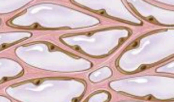 Este descubrimiento tiene el potencial de impulsar avances en medicina.