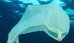 Al Shabab prohibe el uso de las bolsas de plástico, pero no bombardear, asesinar, atacar a civiles