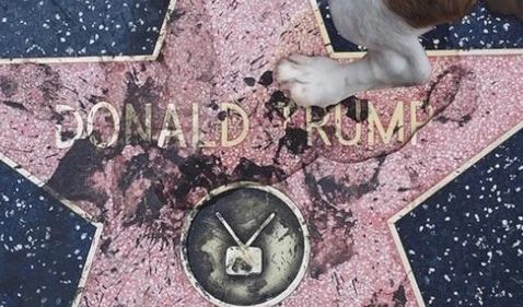 La Cámara de Comercio de Hollywood nunca ha quitado una estrella del Paseo de la Fama