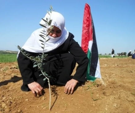 (Israel) restringe más el acceso de agricultores palestinos a sus tierras