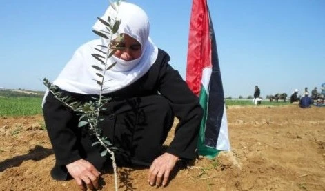 (Israel) restringe más el acceso de agricultores palestinos a sus tierras