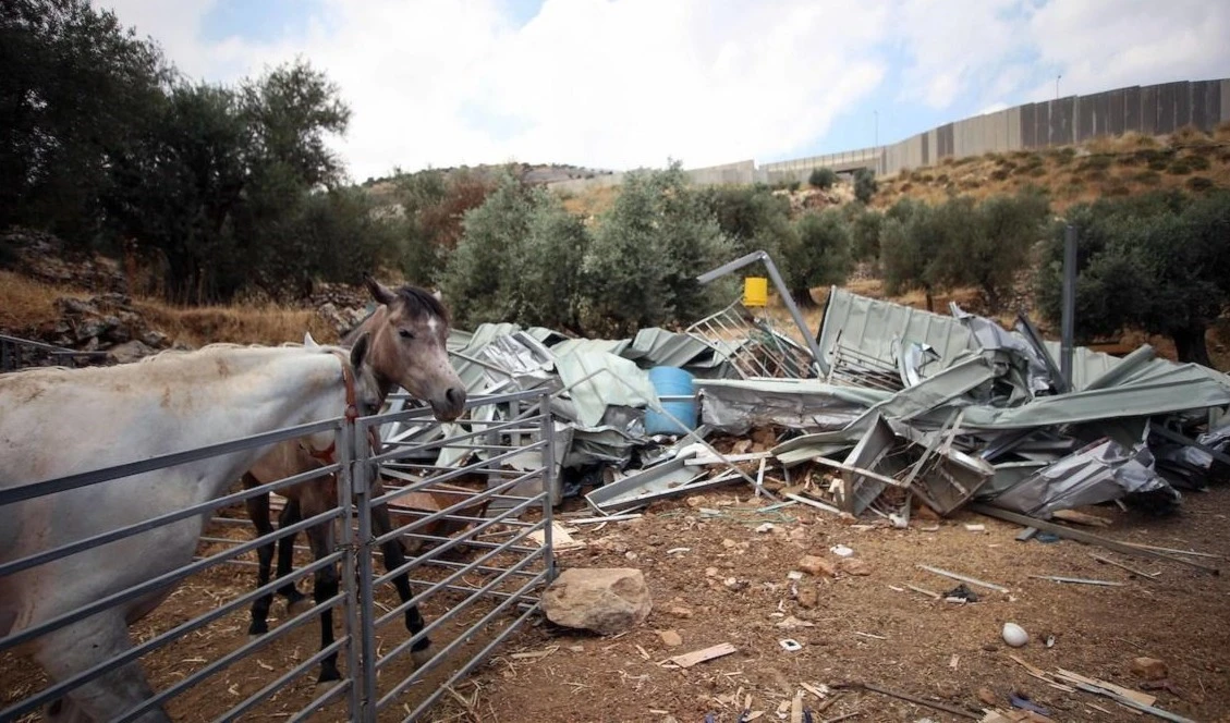 Fuerzas israelíes derriban instalaciones agrícolas y comerciales en la ocupada Cisjordania. Fuerzas israelíes derriban instalaciones agrícolas y comerciales en la ocupada Cisjordania.