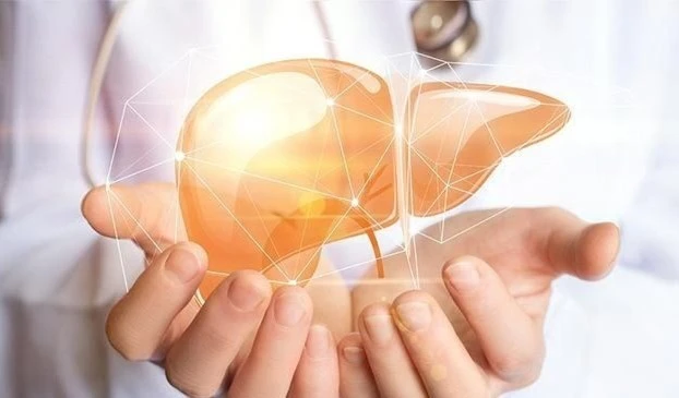 Nuevo método ayuda a preservar por mayor tiempo el hígado de los donantes