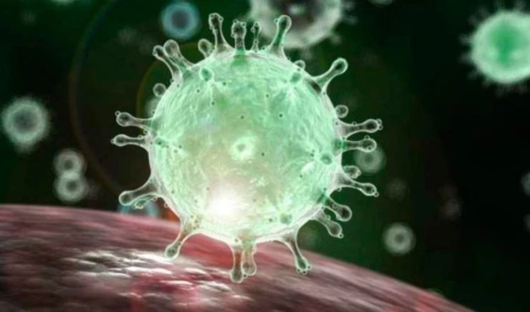 Patólogo experto afirma que el coronaviruspodría propagarse ampliamente en los  hospitales Patólogo experto afirma que el coronaviruspodría propagarse ampliamente en los  hospitales