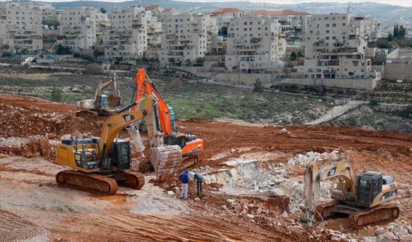 Régimen israelí planea construir otras colonias en reservas naturales de Cisjordania.