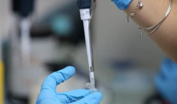 Cuba en busca del riesgo genético ante la COVID-19. Foto: Naturaleza Secreta de Cuba. Cuba en busca del riesgo genético ante la COVID-19. Foto: Naturaleza Secreta de Cuba.