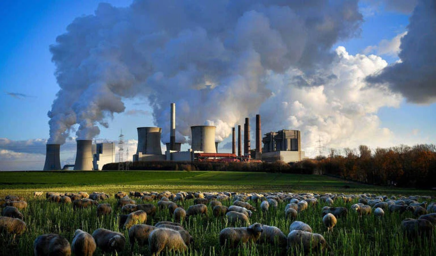 El mundo registra concentración récord de dióxido de carbono a pesar de la COVID-19