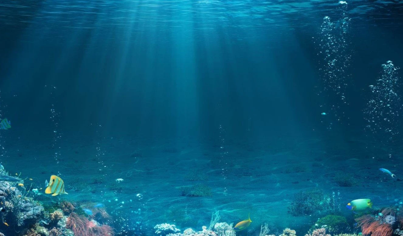 Tres razones para cuidar y conservar los océanos