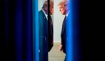 Los libros sobre Donald Trump