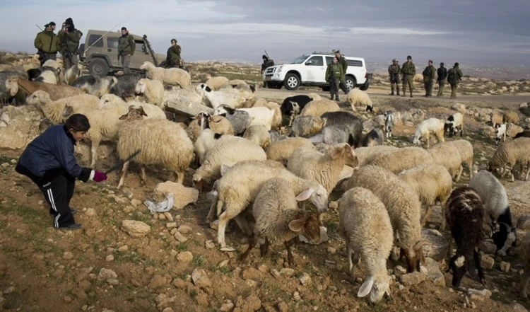 Fuerzas israelíes secuestran a pastor libanés al sur del país.