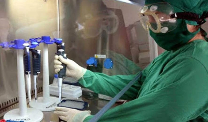 Covid-19: Más de  242 393 310 personas contrajeron la enfermedad