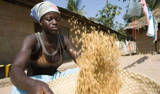 Gambia, referente en lucha contra el cambio climático