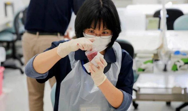 Agricultores de Fukushima temen el impacto del agua contaminada con energía nuclear en sus negocios