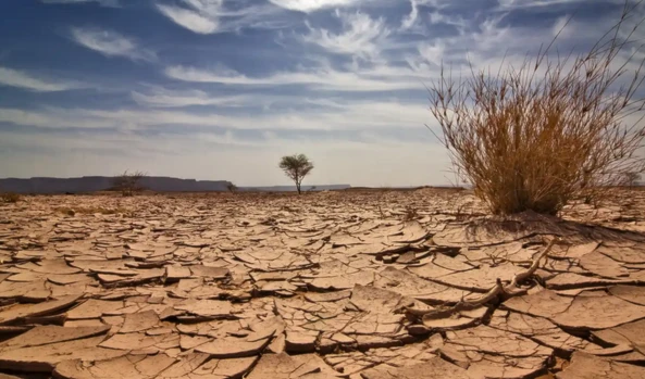 ¿Habrá Armagedón climático o soluciones?