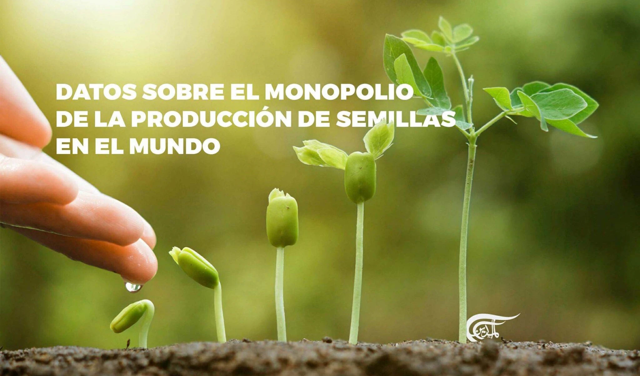 Monopolio de producción de semillas en el mundo