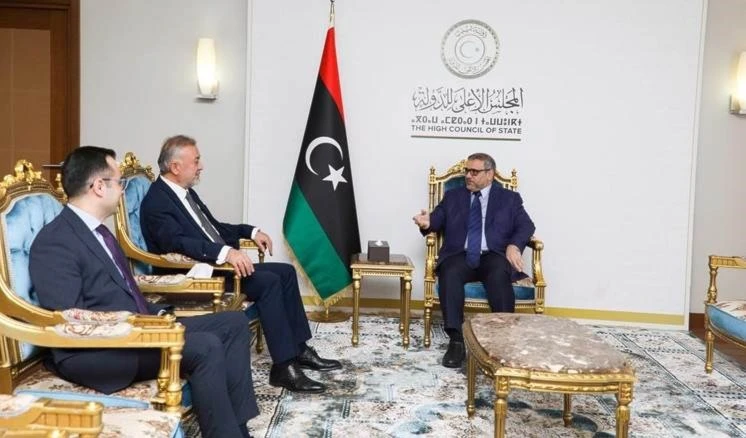 Consejo Supremo de Estado de Libia pide posponer elecciones presidenciales. Consejo Supremo de Estado de Libia pide posponer elecciones presidenciales.