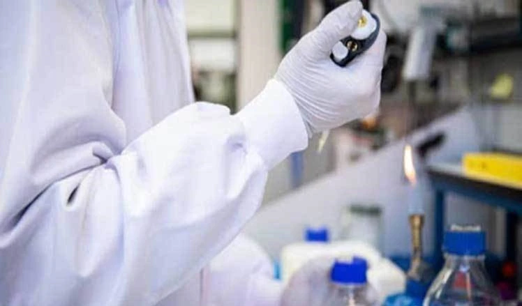 Covid-19: una nueva hipótesis sobre el origen apunta a productos congelados Covid-19: una nueva hipótesis sobre el origen apunta a productos congelados