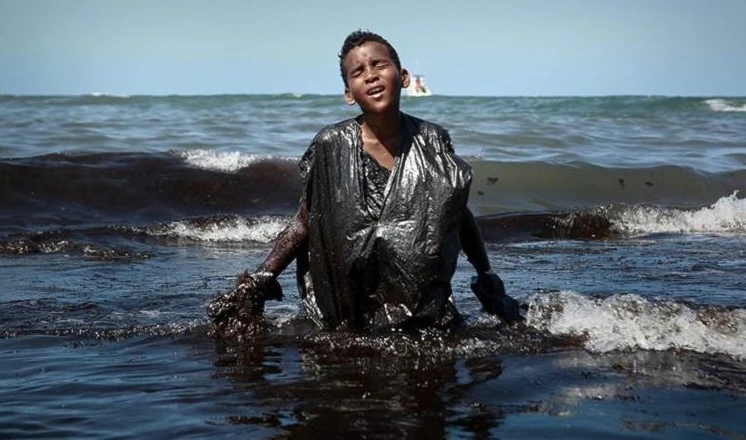 Reciben solicitudes para el concurso de fotografía de Stenin para el año 2021