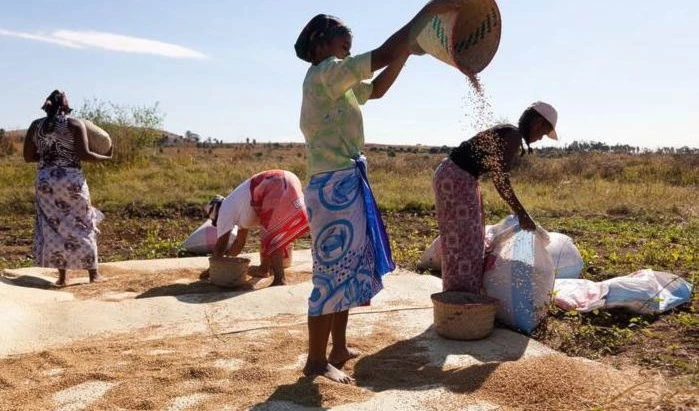 Madagascar: Hambre severa en el sur por la peor sequía en años