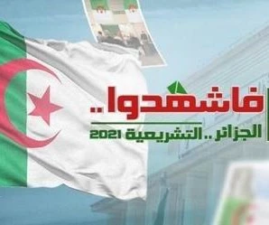 Consejo Constitucional argelino modifica resultados de las elecciones legislativas.