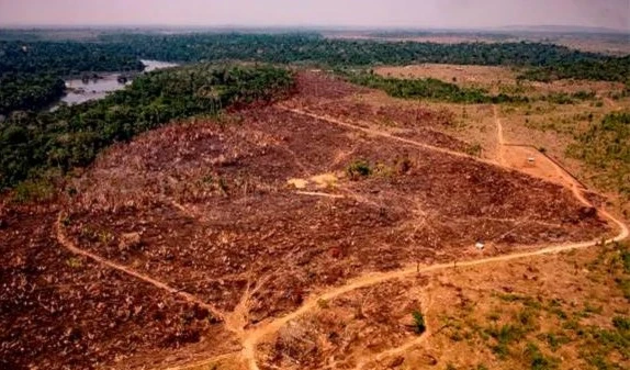 Amazonia brasileña alcanza el nivel anual más alto de deforestación en una década. Foto: Getty Images.