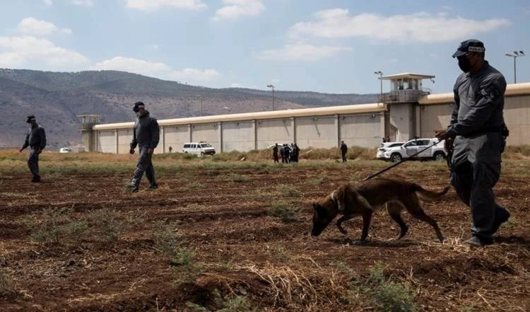 Medio israelí revela detalles sobre la fuga de la prisión de Gilboa.