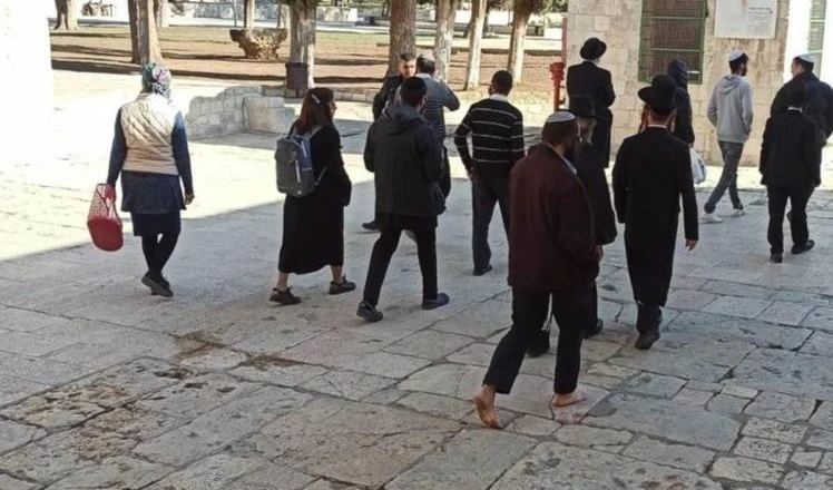 Decenas de colonos asaltan la mezquita de Al Aqsa Decenas de colonos asaltan la mezquita de Al Aqsa