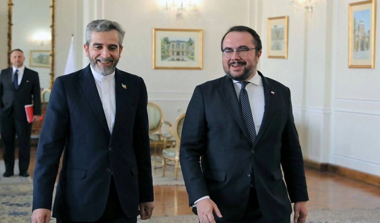Encuentro entre el viceministro de Relaciones Exteriores de Irán para Asuntos Políticos, Ali Baqeri Kani, y su homólogo polaco, Pawel Jablonski, en Teherán.
