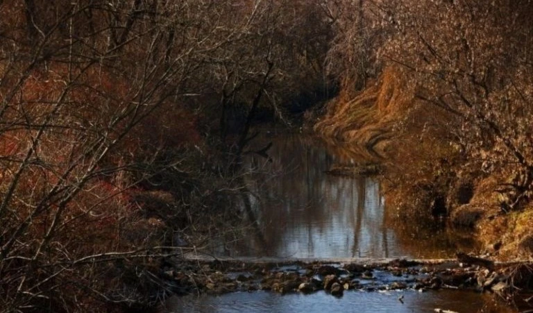 Arroyo Coldwater Creek. Foto: St. Louis Post-Dispatch