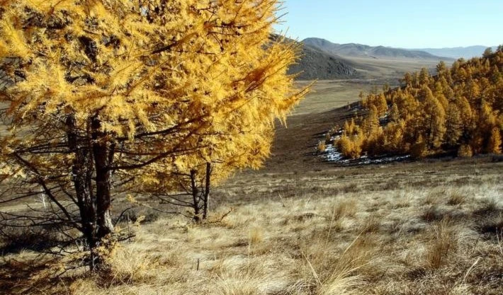 Zonas áridas del mundo. Foto: FAO.