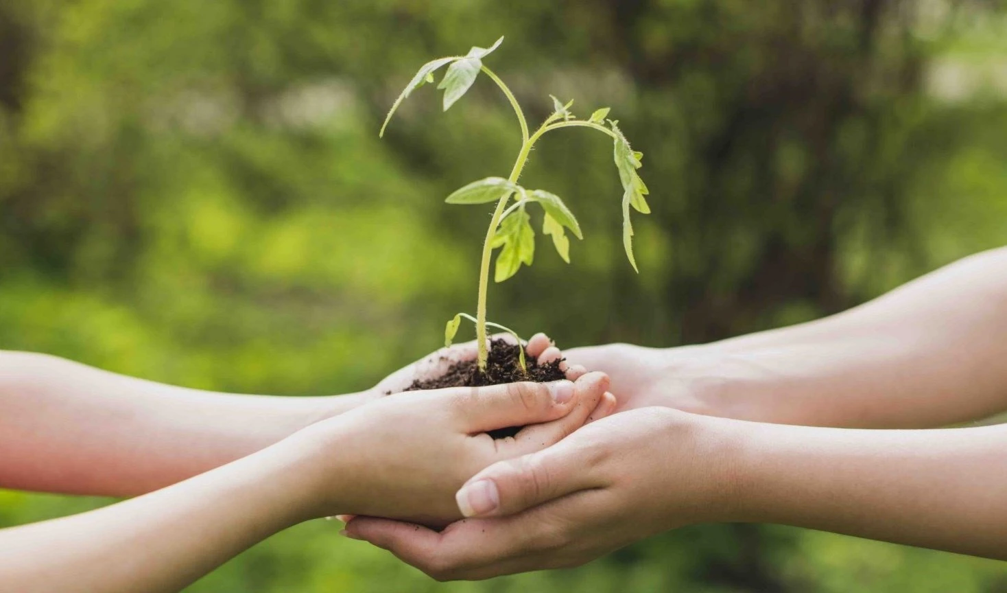 La Sostenibilidad: entre el elitismo del concepto y la crisis de implementación.