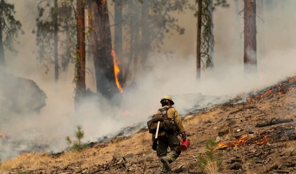 La temperatura media del planeta llegará a los 2,6 grados Celsius, según Naciones Unidas. Foto: AFP.