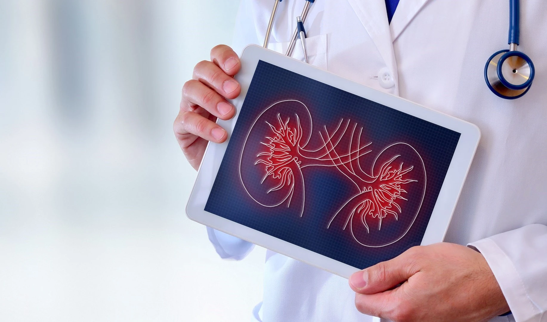 La hormona del ejercicio protege los riñones contra los daños