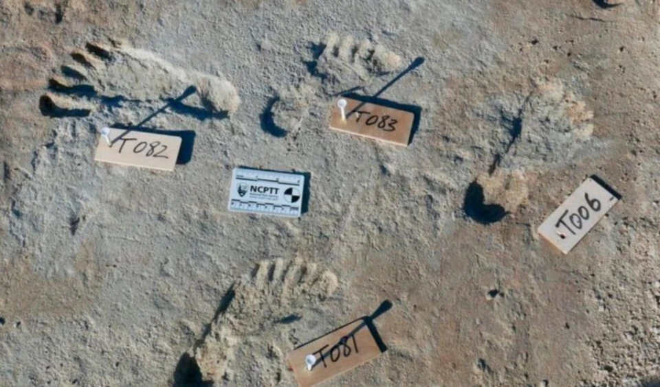 Pisadas encontradas en Nuevo México. Foto: Redes.