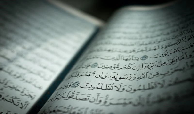 Taza: ¿Qué otras palabras la lengua española heredó de la árabe?