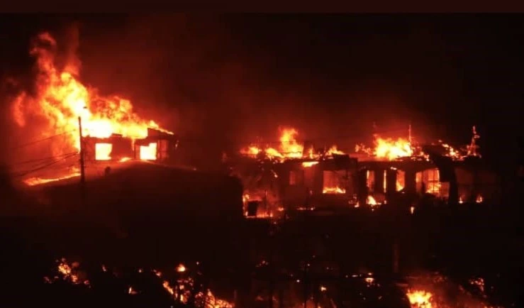 Alerta roja para Viña del Mar por incendio forestal