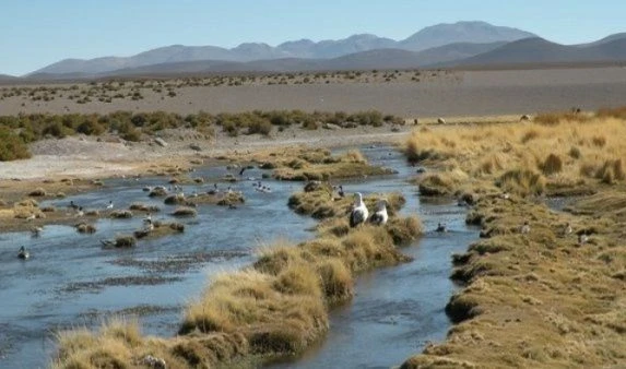 Ya tiene fecha audiencia entre Chile y Bolivia por río Silala