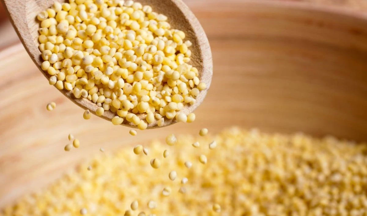 Mijo: un arma contra la escasez alimentaria