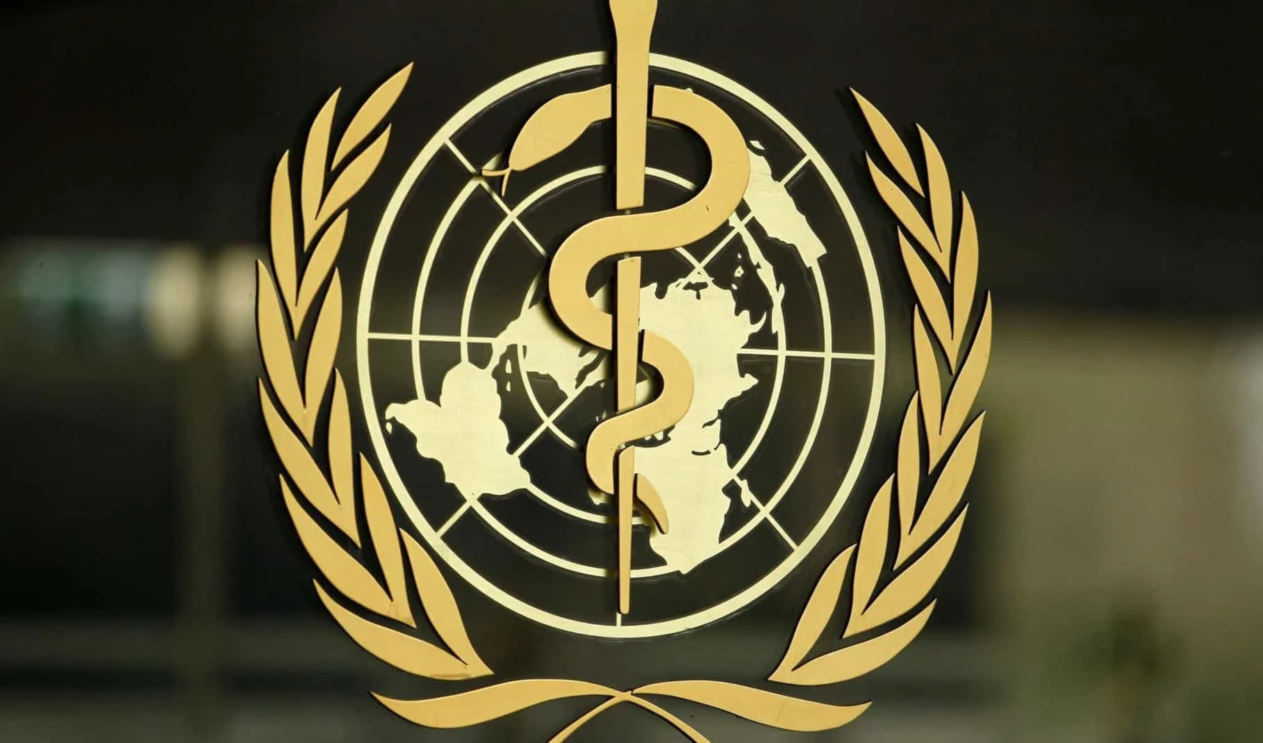 OMS alerta que transmisión de la Viruela del Mono puede aumentar en Europa