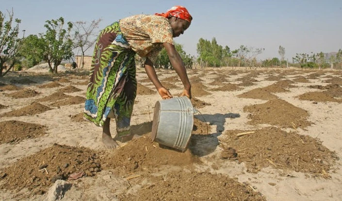 Las sanciones a Moscú repercutirán en la agricultura y la alimentación de África.