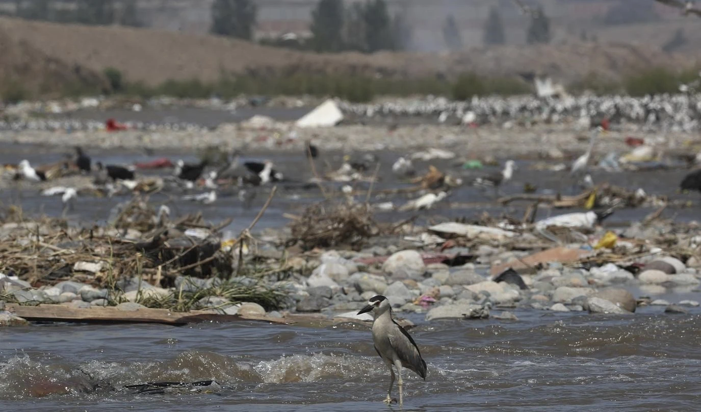 Perú otorga 90 días a empresa para remediar derrame en río de Lima