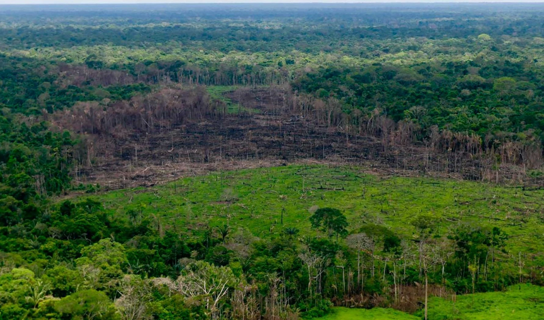 Nuevo presidente colombiano se compromete a proteger la selva tropical https://apnews.com/article/climate-wildfires-politics-presidential-elections-