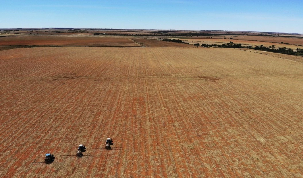 Piden levantar sanciones al  trigo y fertilizantes rusos