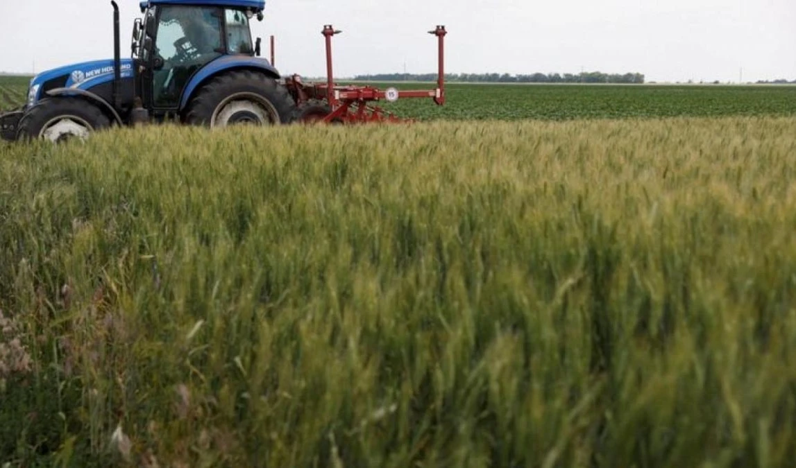 Turquía, Rusia y Ucrania discuten crisis de exportación de granos bajo los auspicios de la ONU. Turquía, Rusia y Ucrania discuten crisis de exportación de granos bajo los auspicios de la ONU.