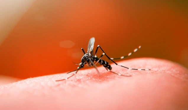 Cuba adopta medidas sanitarias para controlar transmisión de dengue