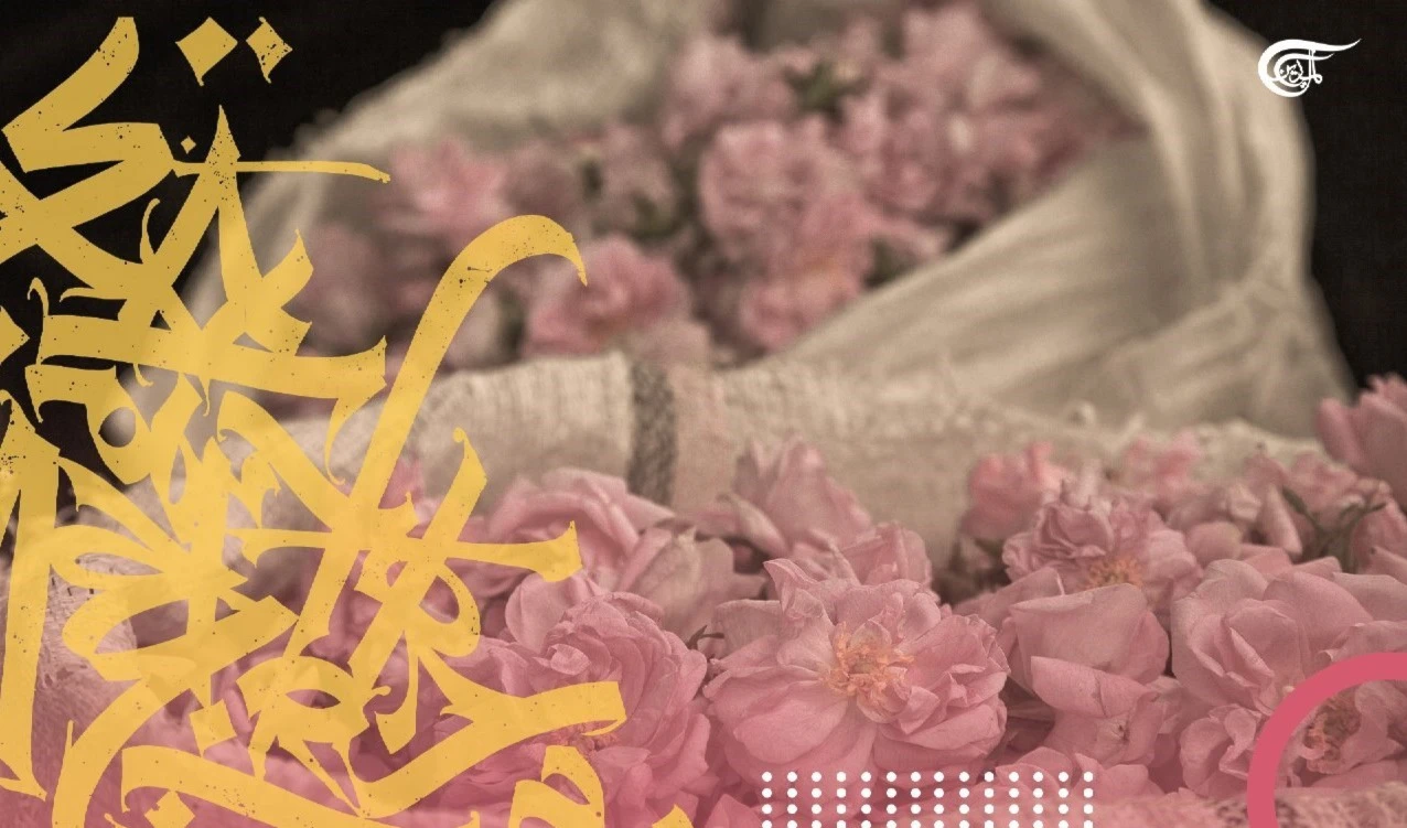 La Rosa de Damasco…“más valiosa que el oro”